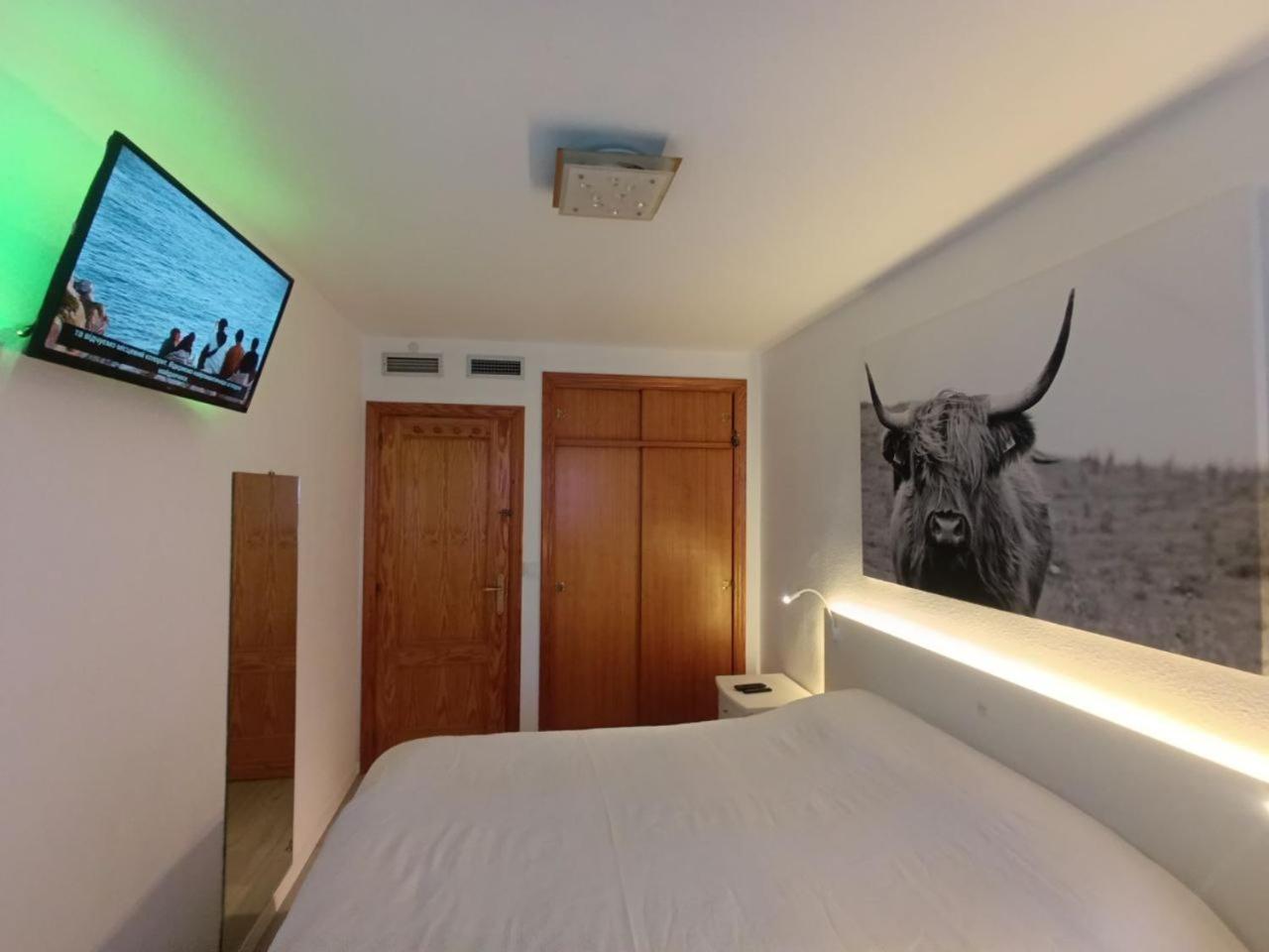 Apartment To Rent In Costa Blanca Τορεβιέχα Εξωτερικό φωτογραφία